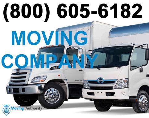 Blue Kangaroo Moving & Hauling logo 1