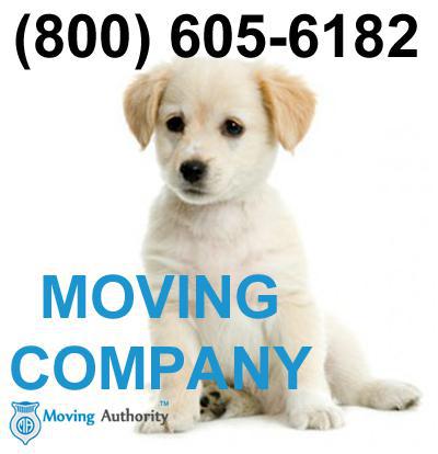 Guard Dog Moving Reviews logo 1