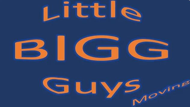 Little Bigg Guys Moving Llc logo 1