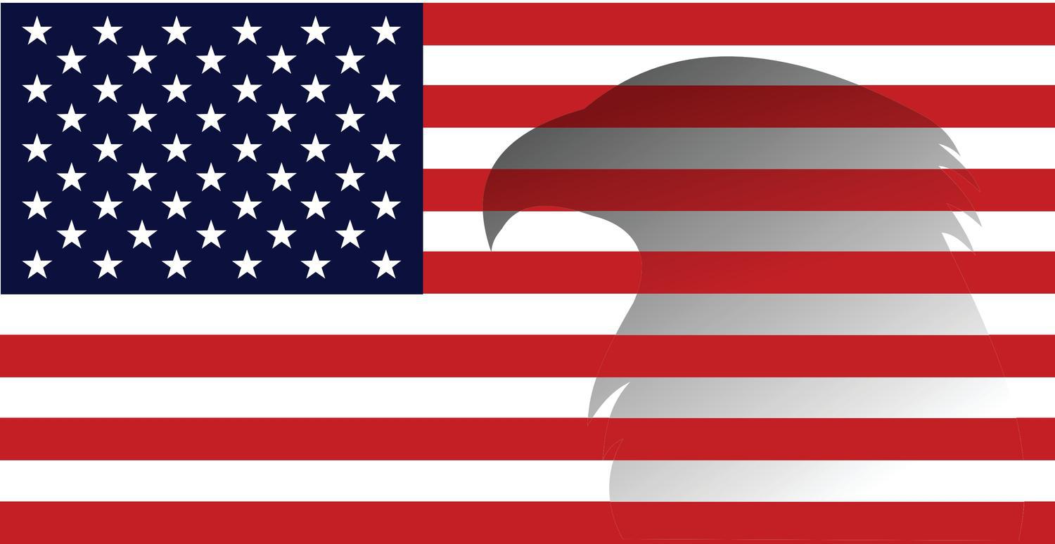 All American Forwarding company logo